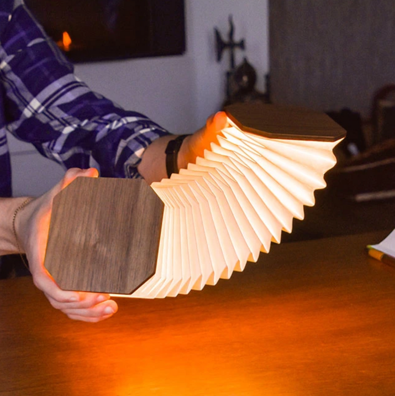 Lucid™ Smart Folding Lamp